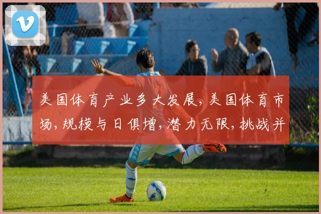 美国体育产业多大发展,美国体育市场,规模与日俱增,潜力无限,挑战并存,未来可期。
